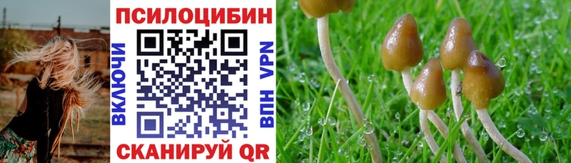 Галлюциногенные грибы Magic Shrooms  Купить закладки  Белая Холуница 