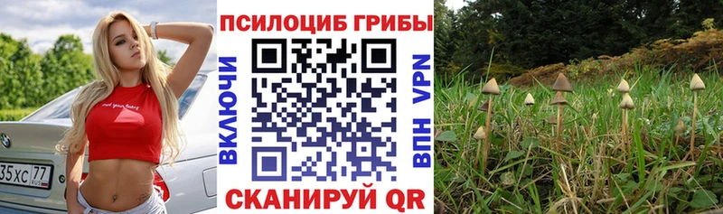 Псилоцибиновые грибы мухоморы Белая Холуница